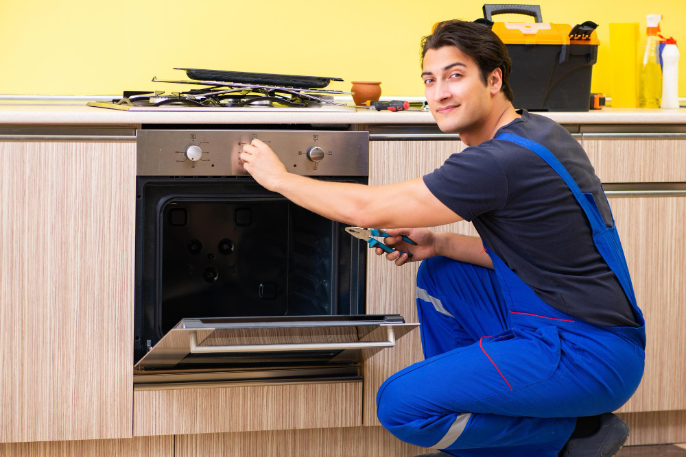 Zanussi Oven Repair