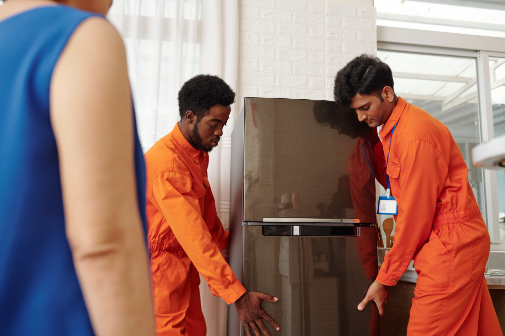 Zanussi Fridges & Freezers Repair